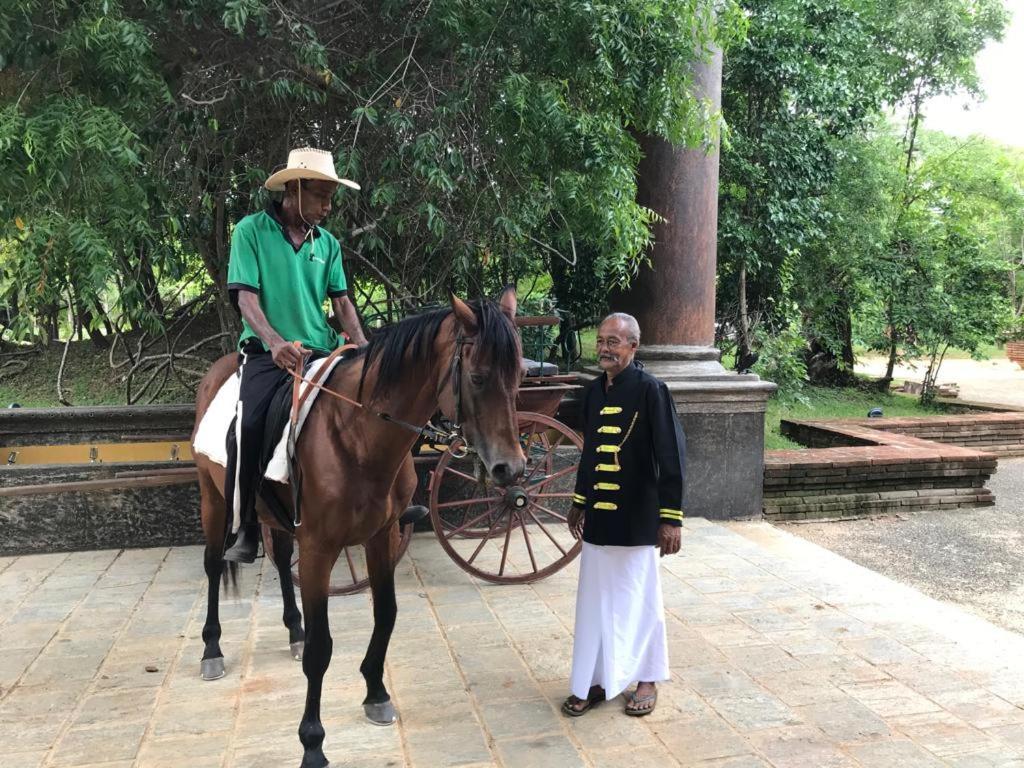 Aswadduma Hotel Dambulla Ngoại thất bức ảnh